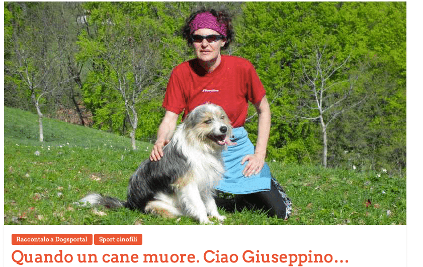 Il mese del cane anziano