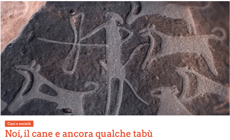 Il mese del cane anziano