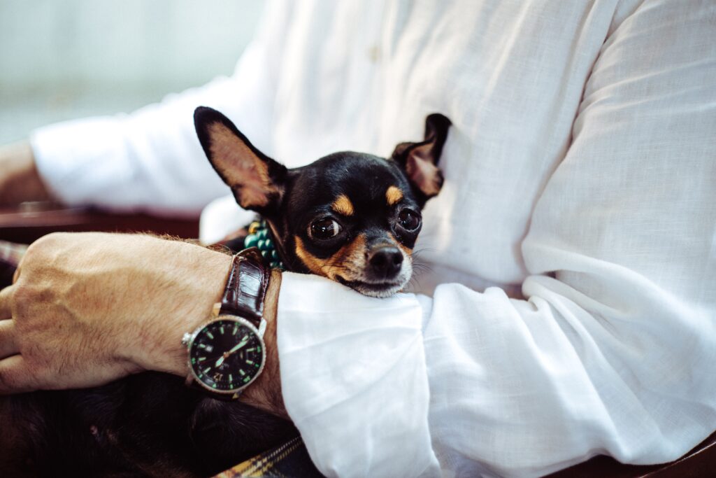Pet Therapy Stress e Bisogni etologici