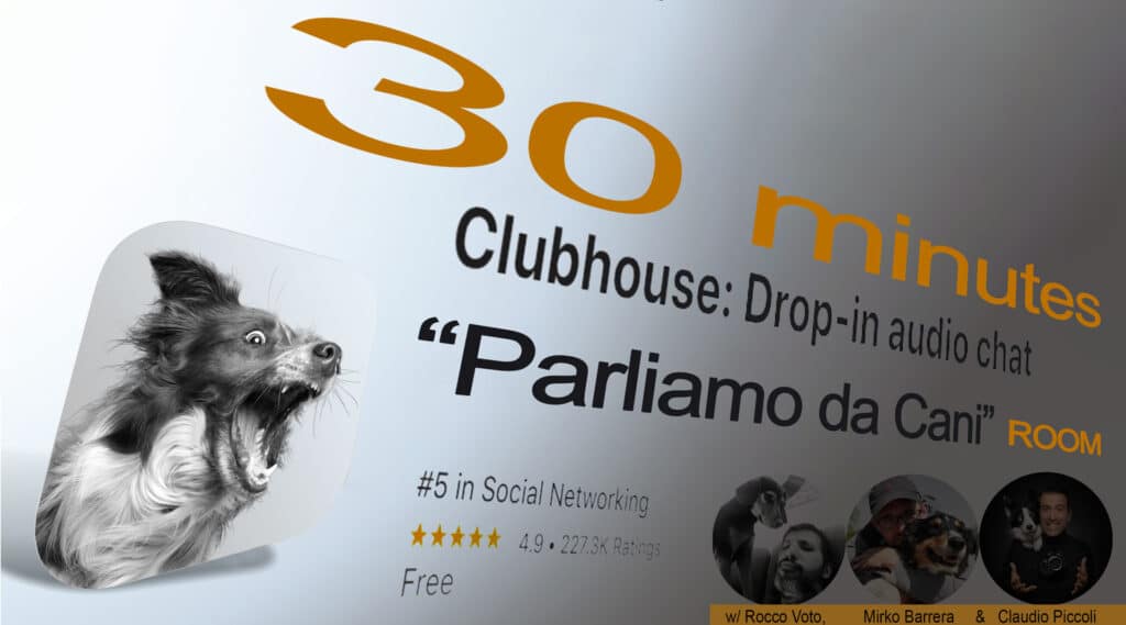 Parlare da cani su Clubhouse: la room con Claudio Piccoli, Mirko Barrera e Rocco Voto dedicata al cane e agli educatori cinofili