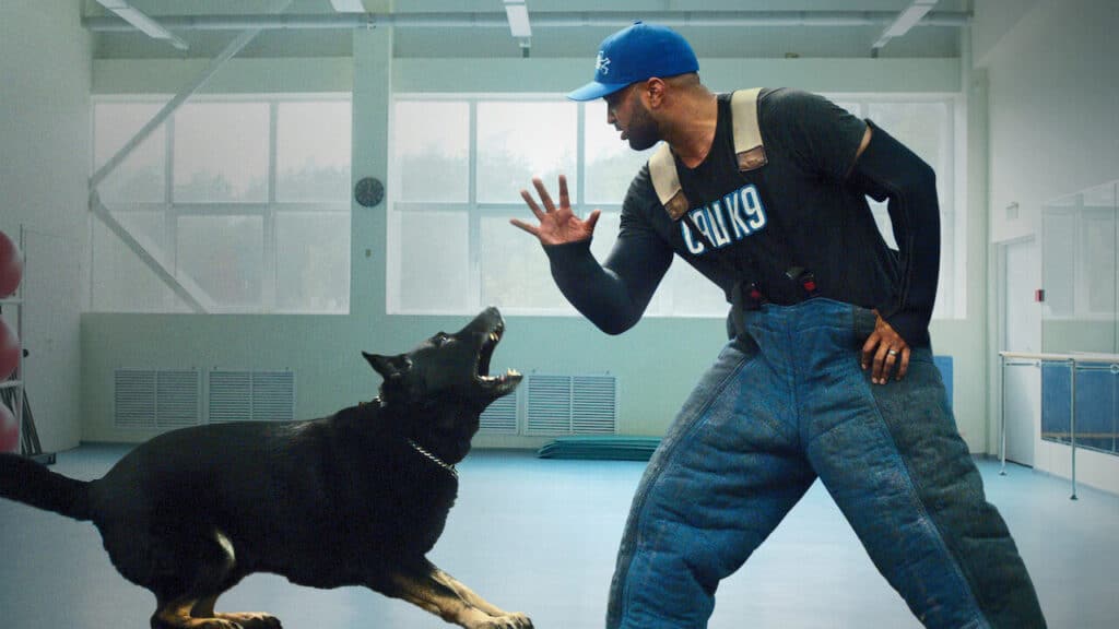 Dog Trainer – scuola per cani su Netflix