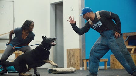 Dog Trainer – scuola per cani su Netflix