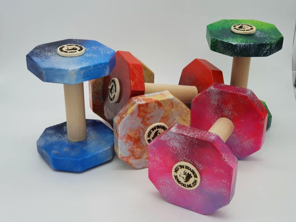 Giocare insieme al cane con i giochi per cani di Irondogline