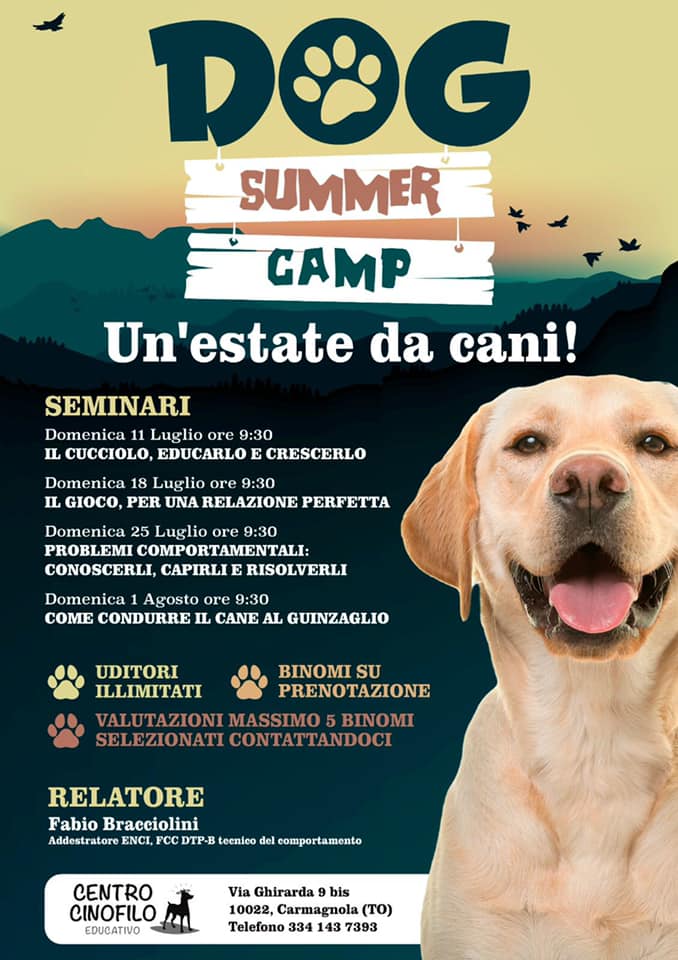 Dog Summer Camp