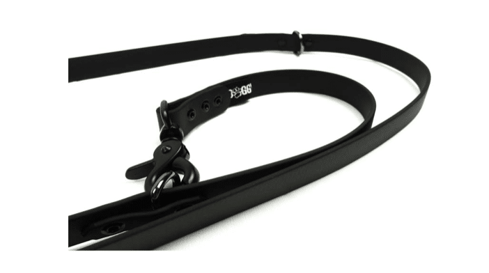 Dog Training Equipment