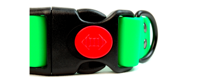 Dog Training Equipment di Doggy Essential