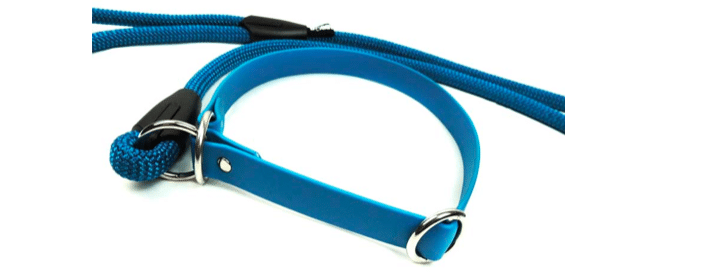 Dog Training Equipment di Doggy Essential
