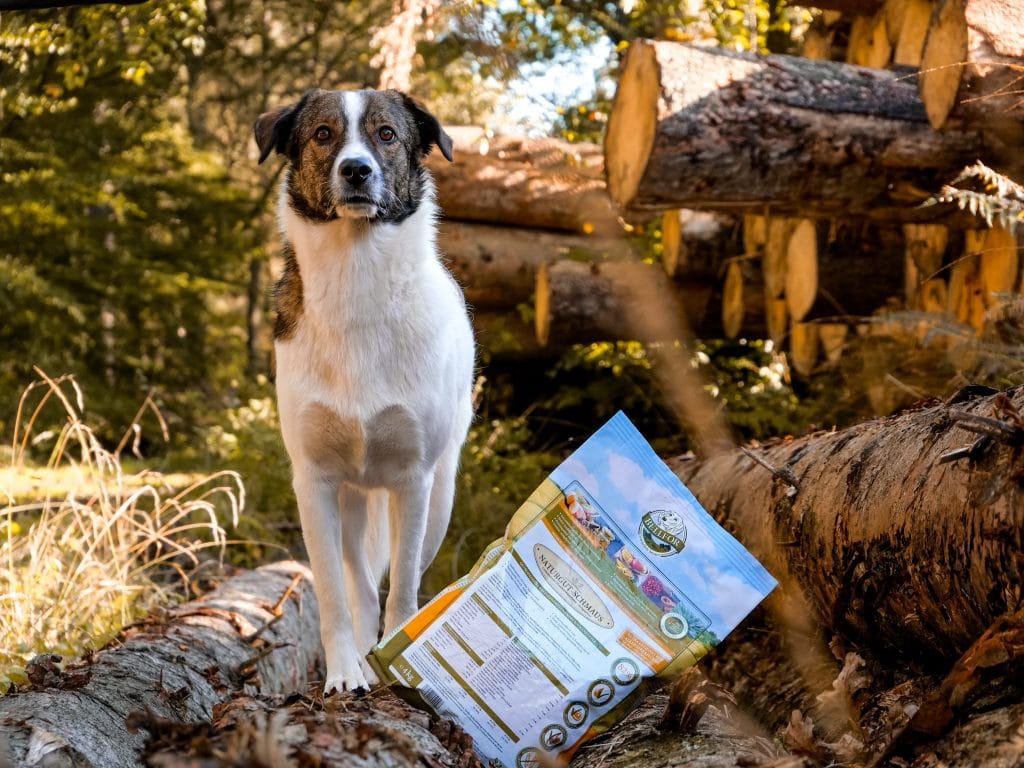 Il cibo per cani Bellfor
