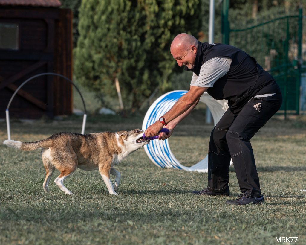 Dog Puller Italia