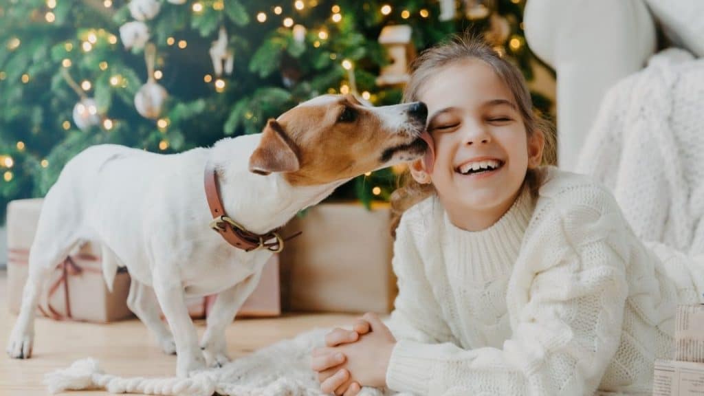 perchè i cani leccano la faccia