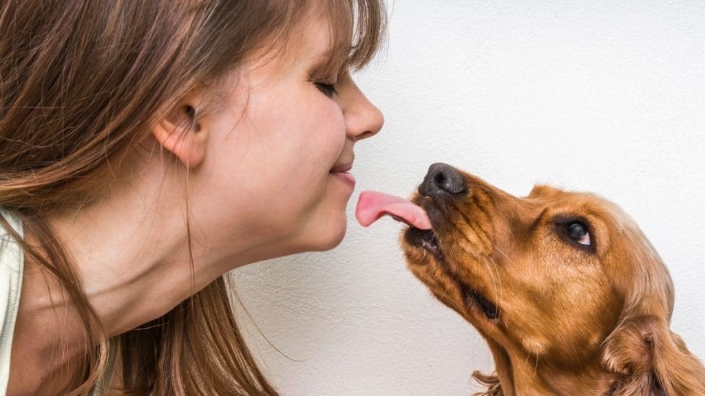 perchè i cani leccano la bocca