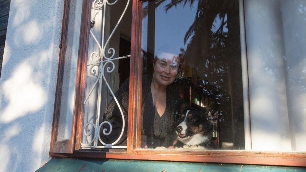 Cani e gatti hanno ridotto stress e ansia causati dalle restrizioni. Lo studio inglese.