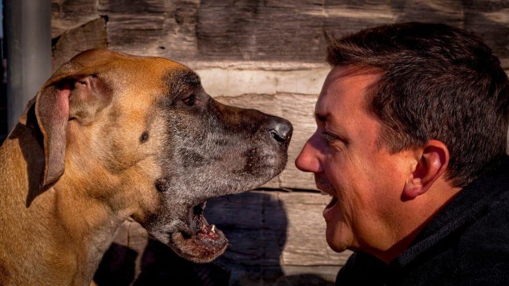 etologia su Dogsportal.it