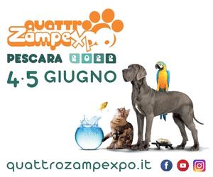 Quattrozampexpo