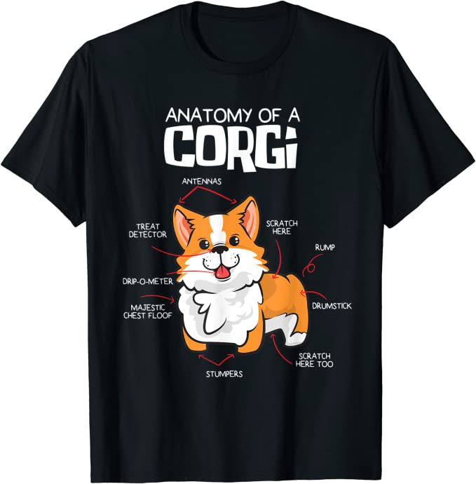 maglietta anatomia del corgi