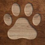 Cosa serve per aprire una pensione per cani