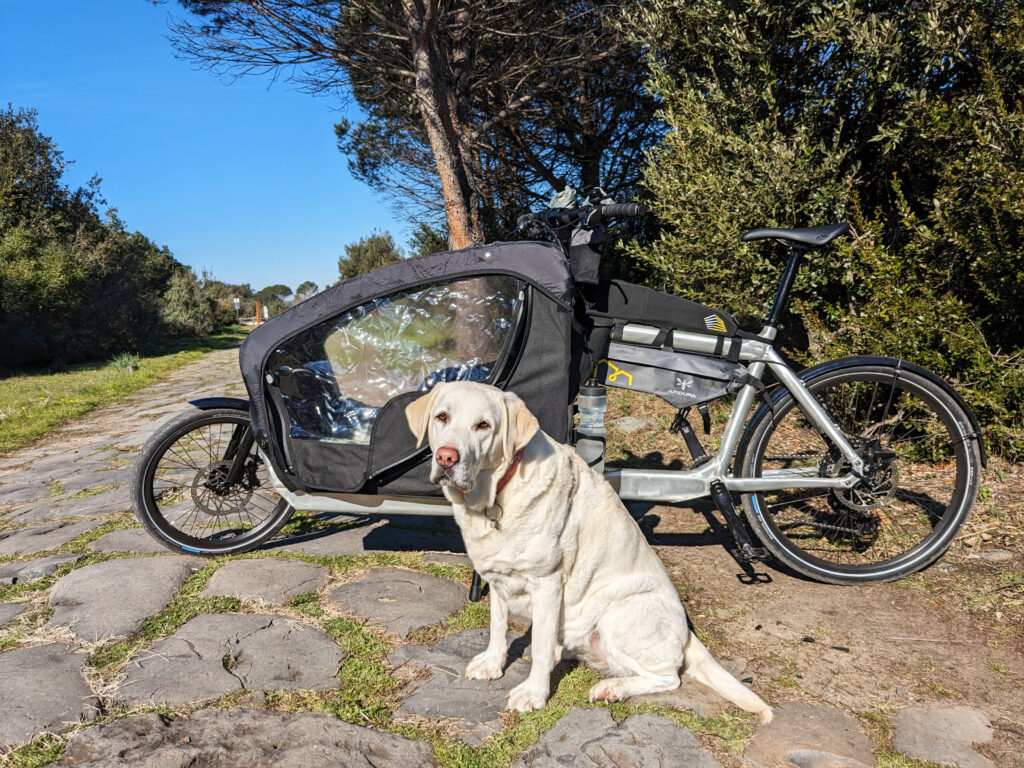 in viaggio da Roma a Capo Nord insieme al cane