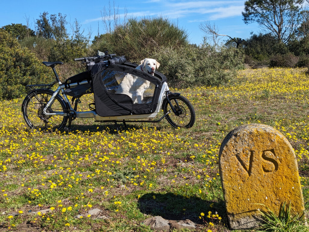 in viaggio da Roma a Capo Nord insieme al cane