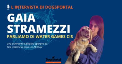 Water Games! Intervista a Gaia Stramezzi di Cinofilia Italiana sportiva!