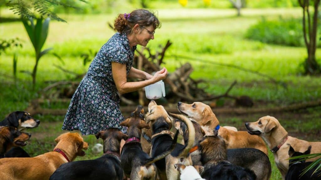 scegliere pensioni per cani