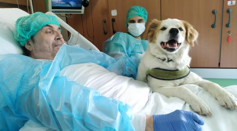 Dopo un anno di lontananza, un paziente dell'Ospedale Niguarda riabbraccia il suo amato cane Buk in un toccante incontro che commuove l'intero reparto