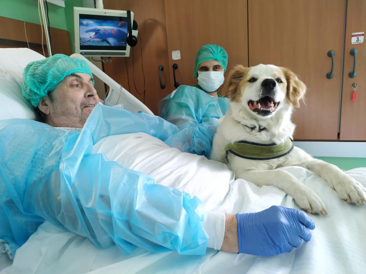 Dopo un anno di lontananza, un paziente dell'Ospedale Niguarda riabbraccia il suo amato cane Buk in un toccante incontro che commuove l'intero reparto