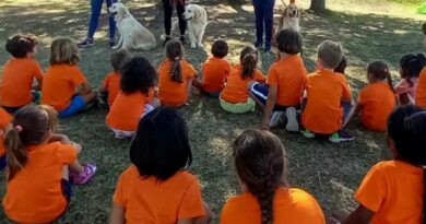 Quali sono le doti richieste al cane da pet therapy?