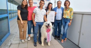 Cafaggio, Il Pastore Maremmano Abruzzese di Torino:  è il cane più bello del mondo!