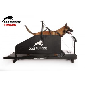 Treadmill per cani Dog Runner