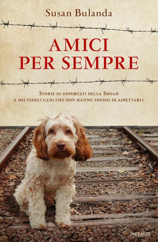 Libro Amici per sempre Susan Bulanda