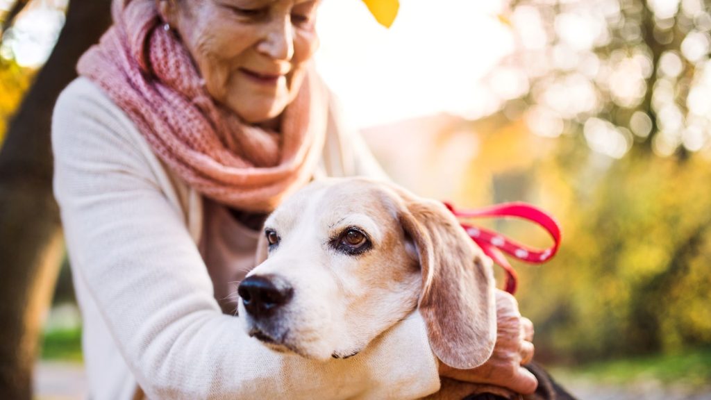 amore per il cane. Cosa significa amare il nostro cane?