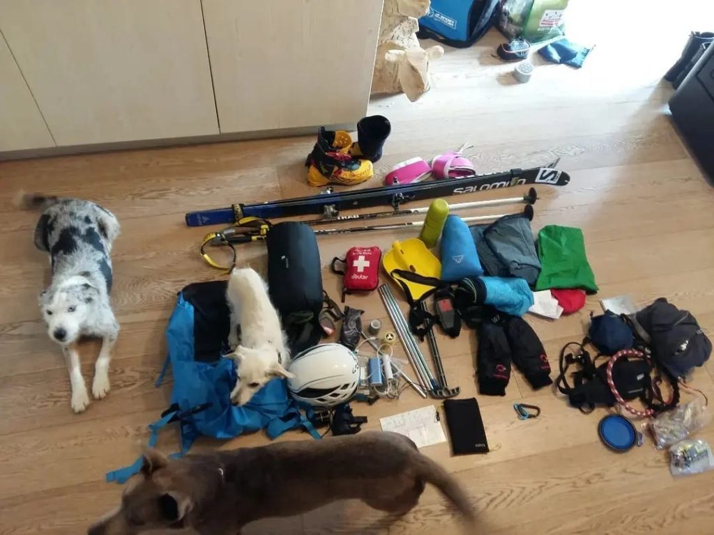 La grande corsa Bianca con i cani