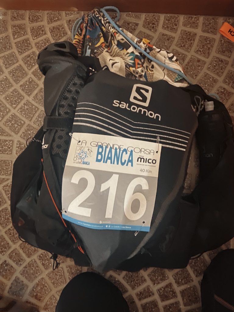 La grande corsa Bianca con i cani
