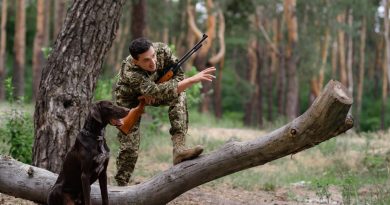 Un registro speciale per i cani che praticano attività venatoria. La proposta