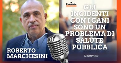 Serve una Costituente per affrontare il problema degli incidenti con i cani