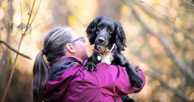 Webinar sui cani da caccia: scopri chi sono davvero i tuoi compagni a quattro zampe