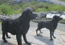 Labrador Vs Terranova: intervista ad Alessandra Ferrero