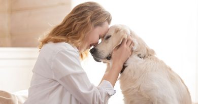 Cani d’assistenza: esperienze e testimonianze in diretta su Dogsportal Academy