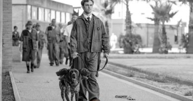 Chi è Fotis, il cane Cerbero di Kaos?