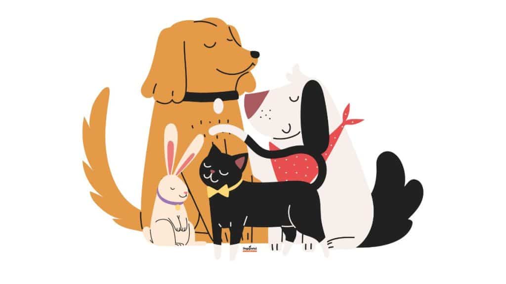 abuso della parola pet