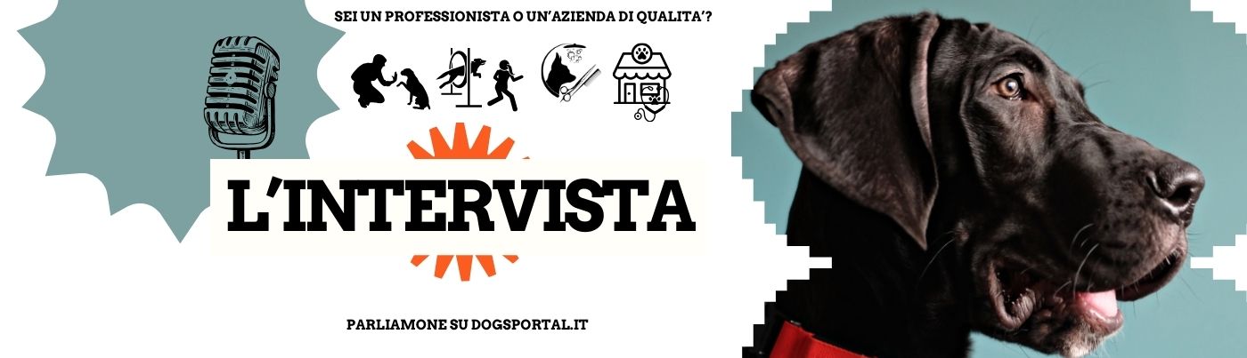 LUPO CECOSLOVACCO Hundewarnschild Aus Aluminium – 3 Mm Stark, Mit UV-Druck, Für Garten, Tor & Zaun, Wetterfest
