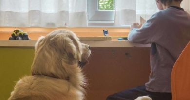 Purina partner di Frida’s Friends nel progetto di Pet Therapy in pediatria