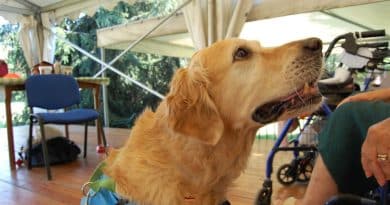 Migliorare la qualità di vita degli anziani con la pet therapy: il progetto di UAM con la Fondazione Ferrero