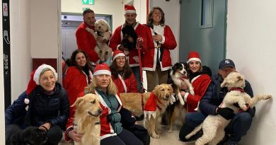Raduno di Babbi Natale a Torino: arrivano anche i cani da pet therapy al Regina Margherita