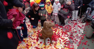Kyra, il cane che ha portato conforto a Livorno: una statua in suo onore