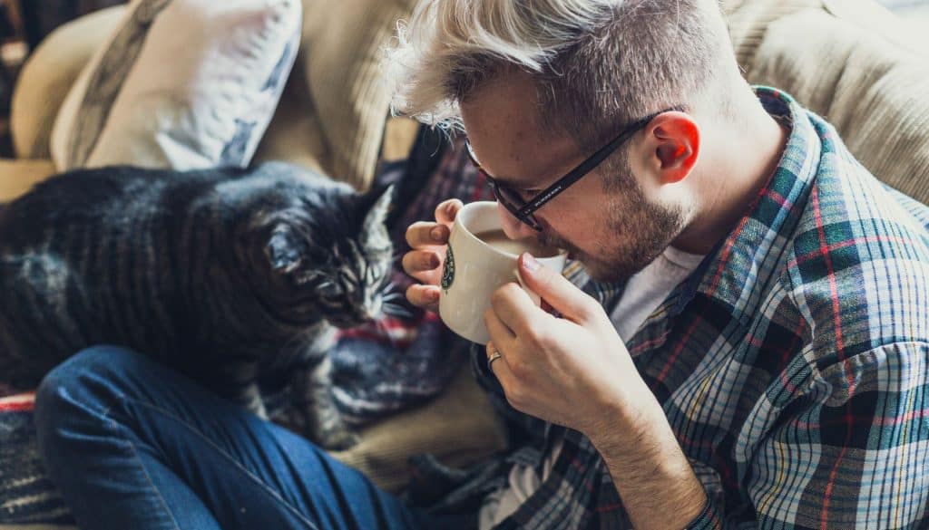 Relazione tra Uomo e gatto