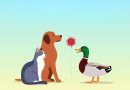 Influenza aviaria e animali domestici: cosa sapere senza allarmismi.
