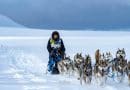 Lo sleddog moderno gare e competizioni nel mondo
