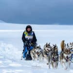 Lo sleddog moderno gare e competizioni nel mondo
