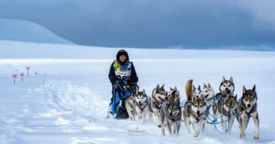 Lo sleddog moderno gare e competizioni nel mondo